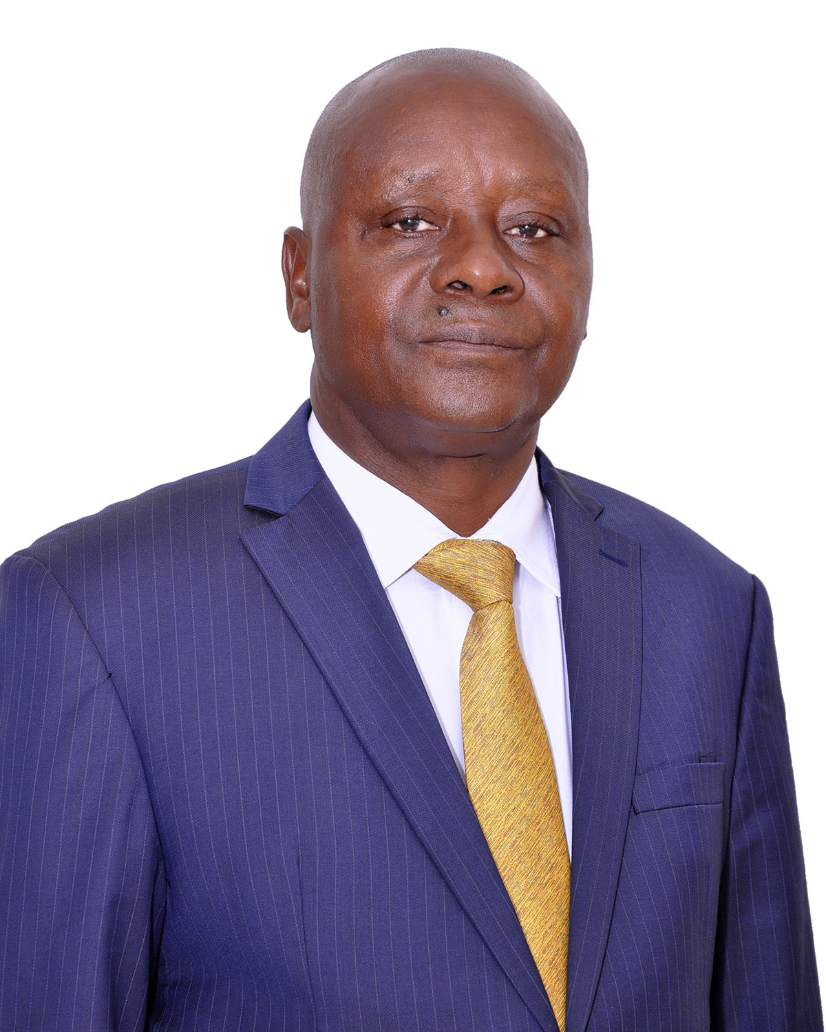 Mr. Julius K. Ishungisa - Board Chairman